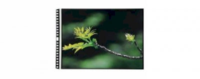 DS 90145 Box/TEN Itoya HPR-17-11-CR ProFolio PolyGlass Pages - $2.03 ea - Landscape / Horizontal - *